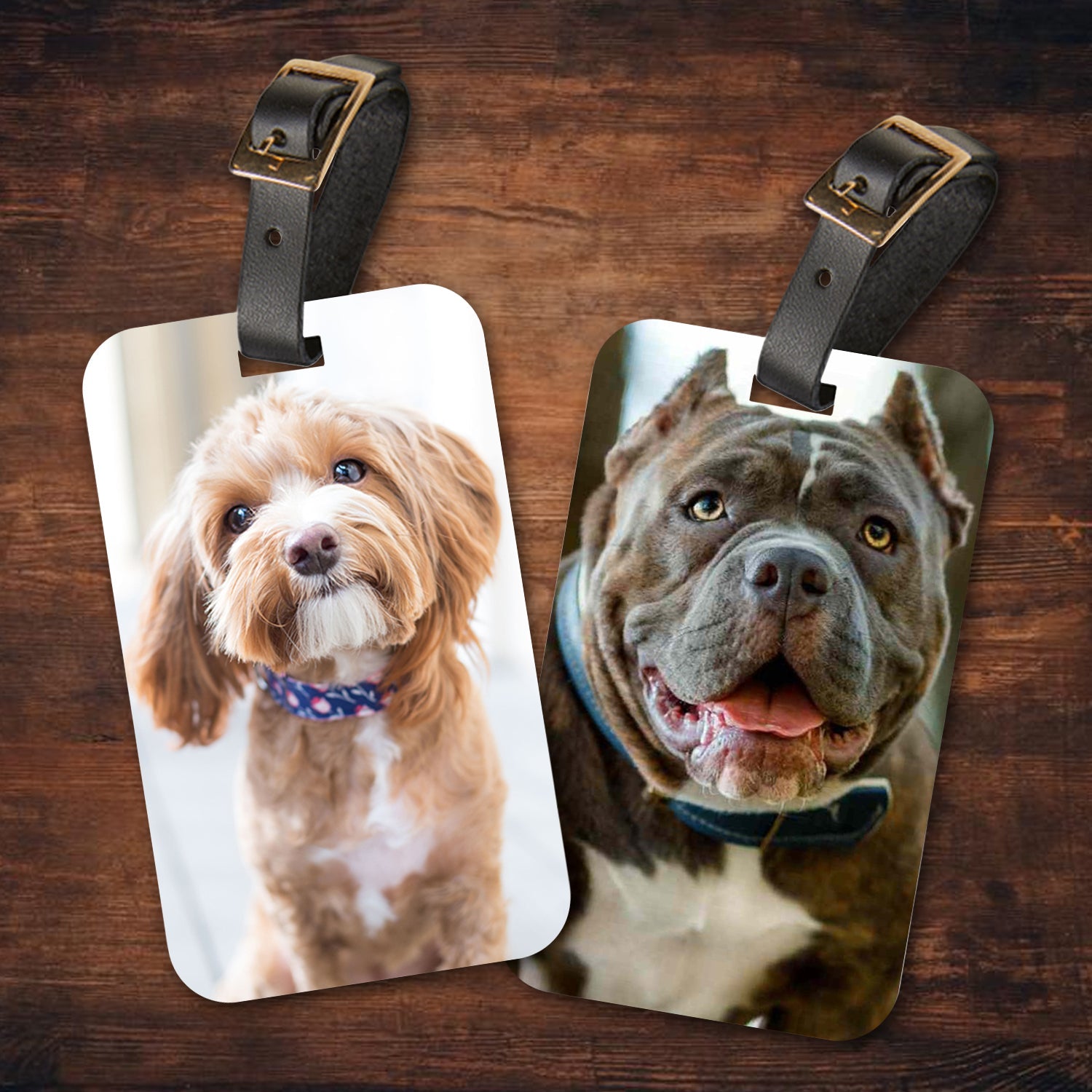 Personalised Pet Luggage Tags - Shaggy Chic